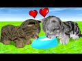 Кошка Симулятор #2 Пурумка и Пурумчик пьют молоко Кида в Cat Simulator на пурумчата