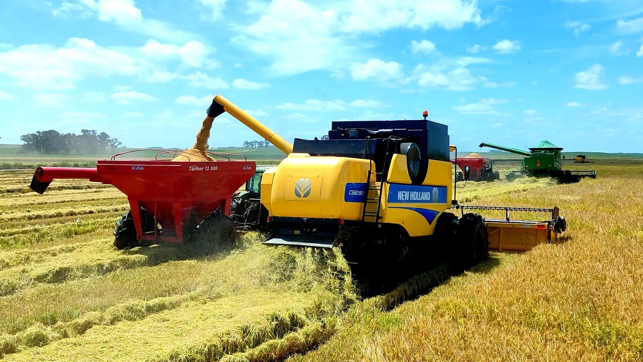 Início da colheita de arroz no RS 🌾 colheitadeira JohnDeere, New Holland,case 💪