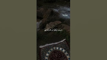 سورة الصف آية 8 | علي جابر