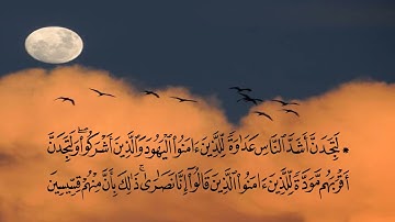 تلاوة من سورة المائدة من الآية ٨٢ الي الآية  ١٢٠ بصوت ماهر المعيقلي مصحوبة بالنص القرأني