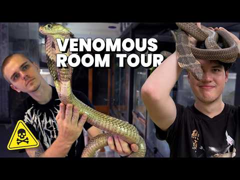 ROOM TOUR & FEEDING WITH CHRISWEET