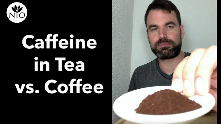 Which beverage has more caffeine tea or coffee? (2023)