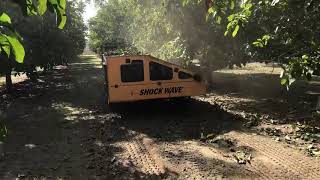 Shock wave shakers in walnut orchard
