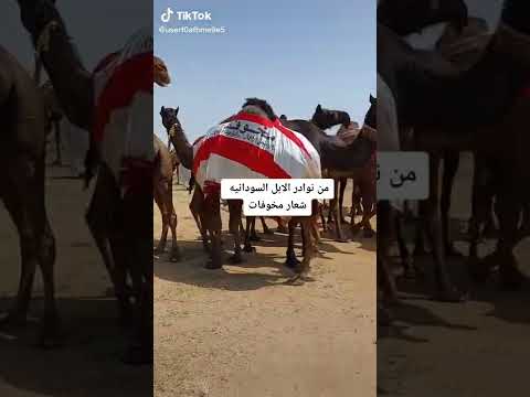 مزاين السودان