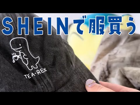 SHEINで服爆買いしたっちゅう話