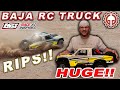 Conquer the Desert: Realistic RC Off-Roading with the Huge LOSI Baja Rey!