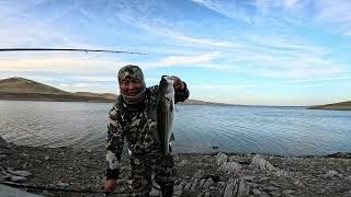 San Luis reservoir striper fishing, cook,eat tasty enjoy watching