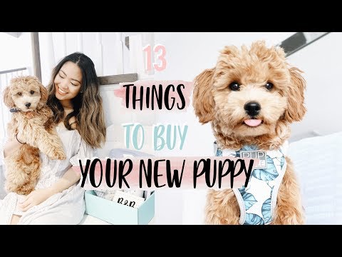 13-things-to-get-your-new-puppy!-|-trish-reyes