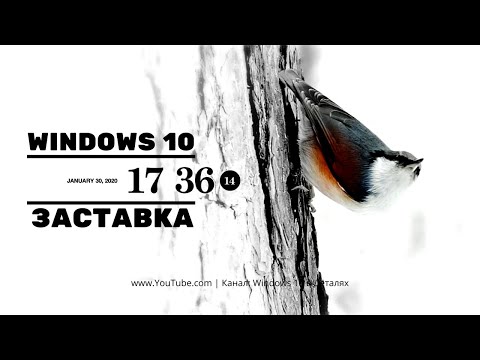 Как установить, настроить или удалить заставку (Скринсейвер) в Windows 10?