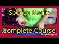 Easy magic tricks revealed sponge magic