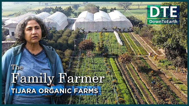 With 10 acres of organic farm and traditional wisdom, This "family farmer" can help you eat right