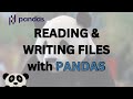 BEGINNER Read and Write CSV, EXCEL & JSON Files using PANDAS #datascientist #pandas