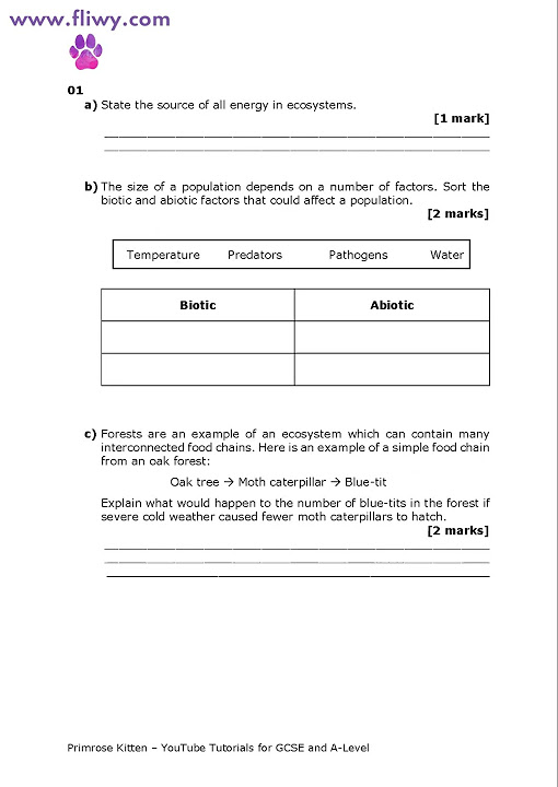 AQA A LEVEL CHEMISTRY PAPER 2 2023 QUESTION PAPER WITH MARK SCHEME and Physical