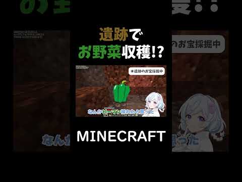 夏野菜実装...!? #shorts #minecraft