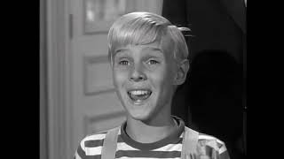 Dennis The Menace - S03E13 - Dennis Bank Account