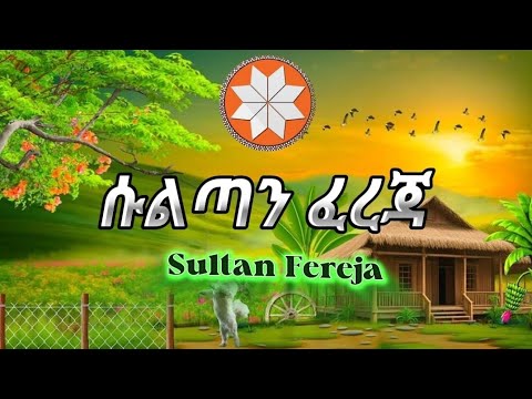 ሱልጣን ፈረጃ Sultan Fereja Siltegna Music ስልጥኛ ሙዚቃ