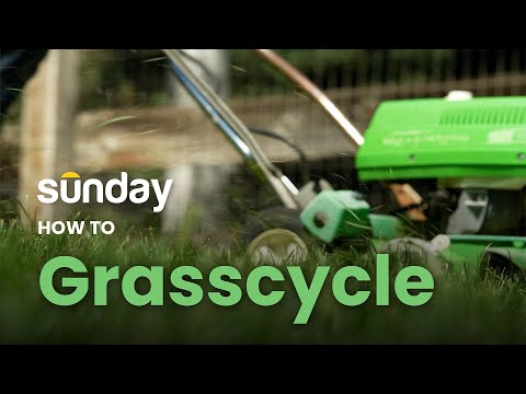 วีดีโอ: Grasscycling คืออะไร – Grasscycling Tips And Tricks For Better Lawns