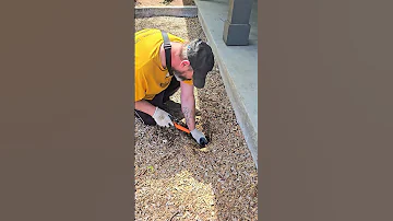 May 30 2025 Metaldetecting 