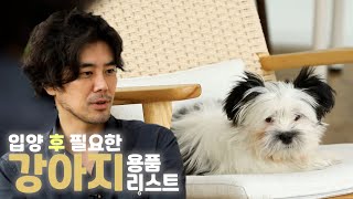 강아지 입양 직후 이건 꼭 준비하세요 2편ㅣ✅수의사가 알려주는 만초의 법칙 EP.3