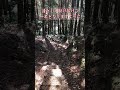 【遠隔参拝】あけましておめでとうございます　#丙午年 #元旦