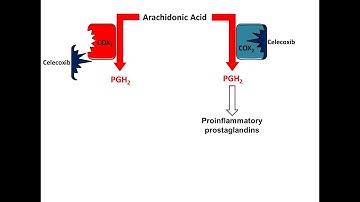 Celecoxib -NSAID Mechanism of Action