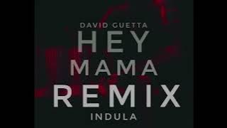 Hey mama - David Guetta | INDULA Remix