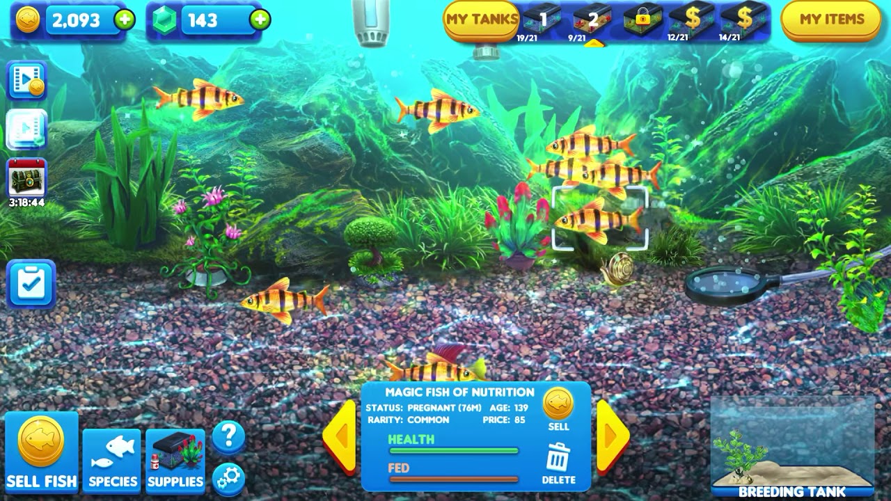 Fish Tycoon Magic Fish Chart Pictures