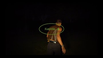 Gabriel Jacoby - Reptile (Official Video)