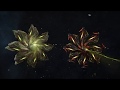 Feeding thargoids arent they adorable  elite dangerous gameplay only