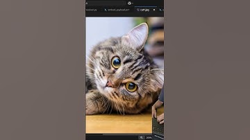 Extracting PAYLOADS from CAT PICS
