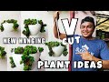 New hanging plants ideas for succulents using vshaped pots  plant styling