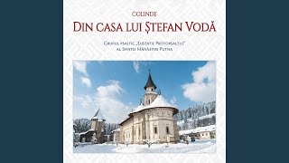 La poartă la Ștefan Vodă