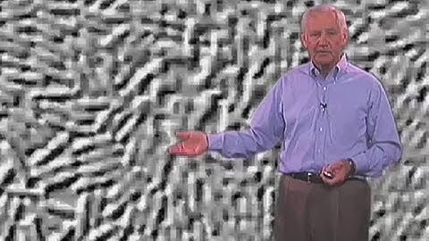 Bacterial replication - Stanley Falkow (Stanford)