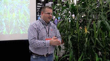 How to Make a GMO/DNA Extraction Demo