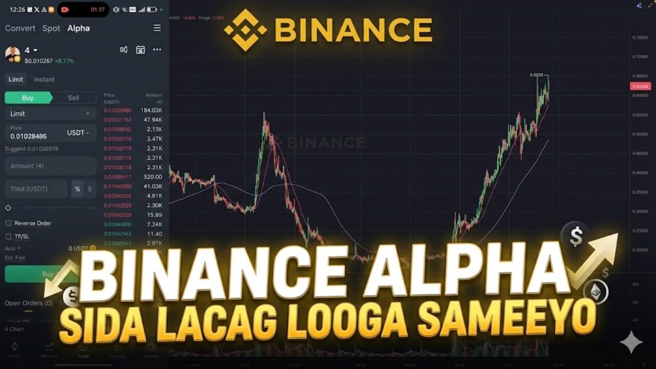 Binance alpha somali sida lacag loog sameeyo iyo sida loo isticmaalo
