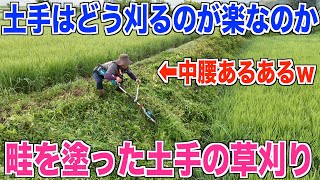 Download Lagu 【土手の草刈り】畦を塗った土手だと草刈りは楽になるのか 40代米作り奮闘記#549 MP3 Download Lagu 【土手の草刈り】畦を塗った土手だと草刈りは楽になるのか 40代米作り奮闘記#549 MP3
