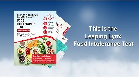 Leaping Lynx Food Intolerance Test