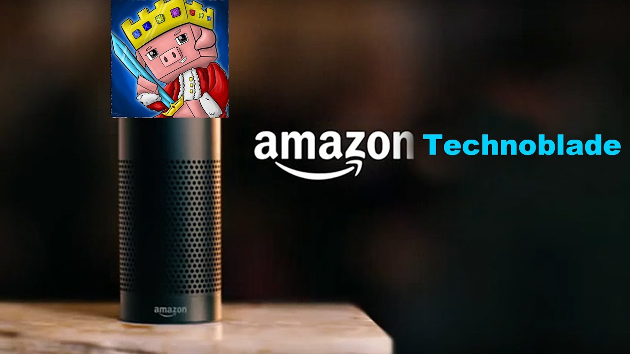 Amazon Echo, but its Technoblade