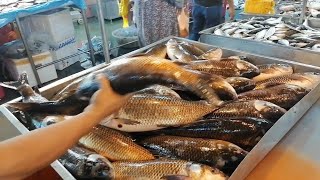 MURAH ! IKAN BESAR-BESAR PUAS Pilih PASAR BORONG PANDAN JOHOR BAHRU