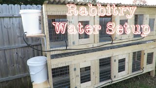 How To Set Up a Watering System For Rabbits