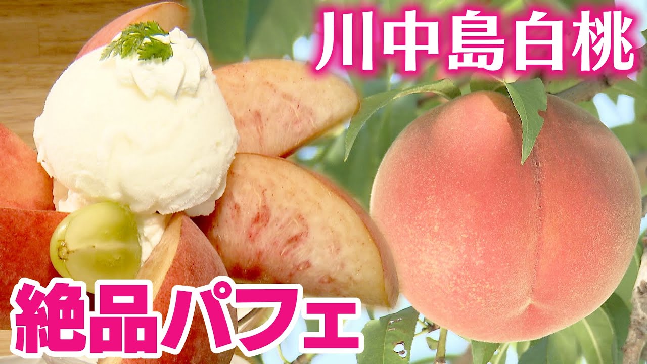 「川中島白桃」満喫　収穫体験のあとは、絶品「パフェ」