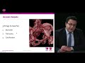 Eacvi free webinar role of ct in structural heart disease interventions