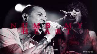BMTH/LP - "Numb My Heart" (Mashup)