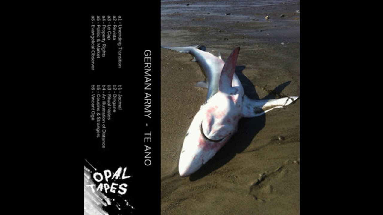 German Army - Unending Transition