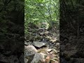 #여름 #계곡