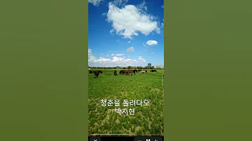 박지현 청춘을돌려다오 