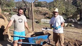 How to use Nopal Cactus in an Earthen Plaster