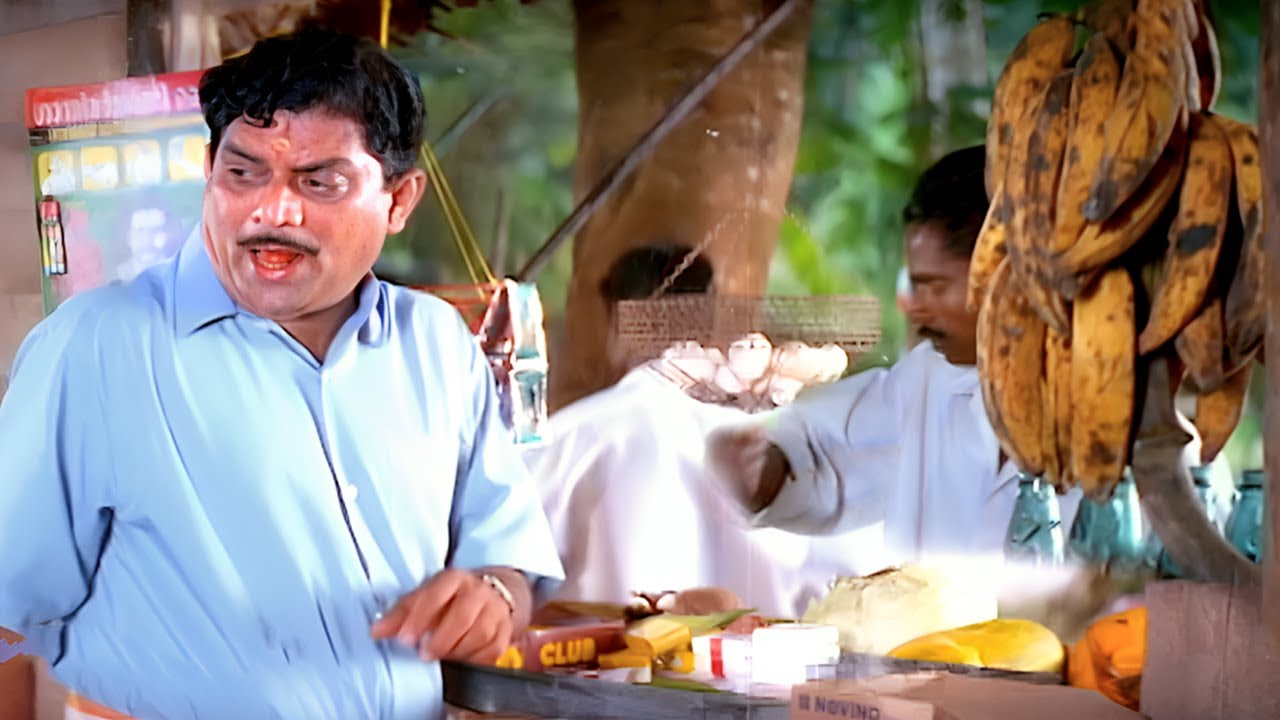        Jagathy Sreekumar Comedy Scenes  Malayalam Comedy Scenes