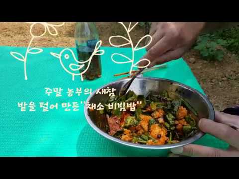 잡초와의 전투후 새참 ''텃밭 비빔밥'' (Bibimbap in the garden after battle with weeds)