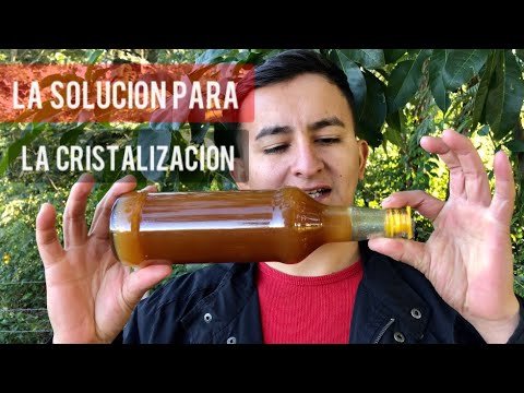 Video: ¿Qué hacer con la miel cristalizada?